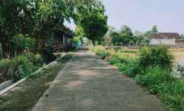 Tanah Strategis Timur Puskesmas Kedawung 2 Sragen