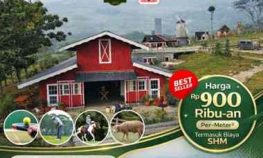 Tanah Dijual di Sukamakmur