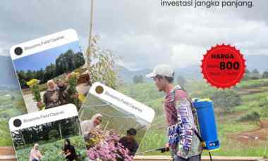 Tanah Kavling Kebun di Sukaresmi Cianjur