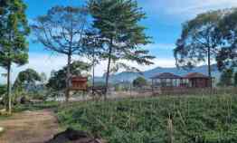Tanah Kavling Kebun Teh Puncak Best View Siap Bangun