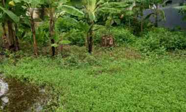 Tanah Dijual di Pasinan Lemahputih Gresik