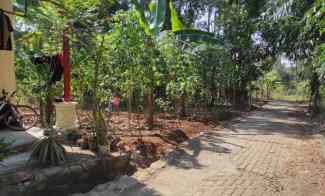 Tanah Dijual di cepoko