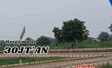 Tanah Kavling Murah Meriah