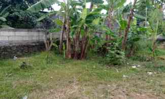 Tanah Dijual di kutilang raya