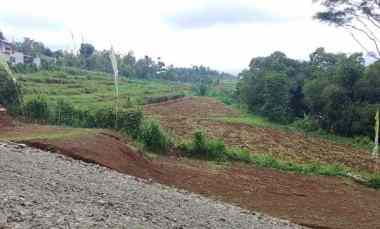 Tanah Kavling Puncak, Ciawi Bogor