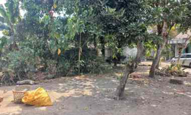 Tanah Kavling Strategis Area Bisnis Tirto