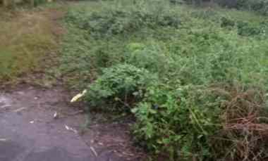 Tanah Dijual di Tegalsari Jabon Mojoanyar Mojokerto