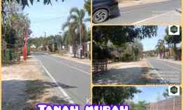 Tanah Dijual di Denokan Polokarto