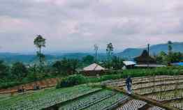 Tanah Dijual di Kawasan Wisata Alam Kemuning, Ngargoyoso, Karanganyar Telp WA 082327612345