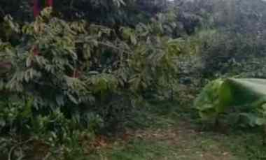 Tanah Kebun Ada Pohon Duren Kota Batu