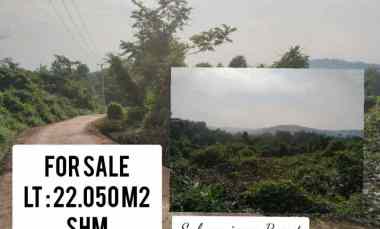 Tanah Dijual di Subang