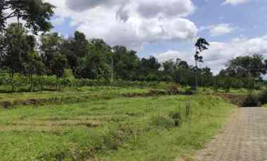 Tanah Dijual di Di Cembo, Giripurno.