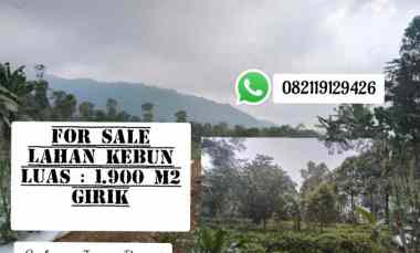 Tanah Kebun, Cipancar Subang Jawa Barat