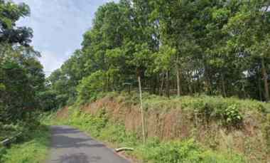 Tanah Dijual di Subang