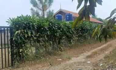 Tanah Kebun dekat Jalan Cagak Subang