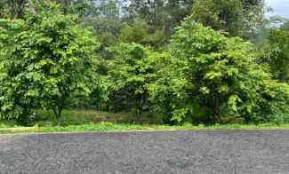 Tanah Dijual di Ngargoyos, Karanganyar, Solo, Jawa Tengah