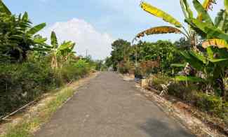 Tanah Kebun Durian 2000m2 Siap Panen Mojogedang Karanganyar