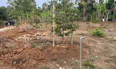 Tanah Dijual di Kerjo, Karanganyar