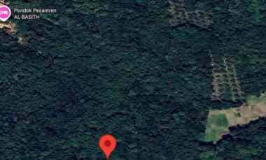 Tanah Kebun / Huma / Berkebun