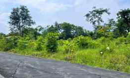 Tanah Kebun Jati 125 juta Mojogedang Karanganyar