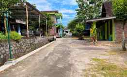 Tanah Kebun Jati 250 juta Mojogedang Karanganyar