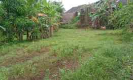 Tanah Kebun Murah dan Rata