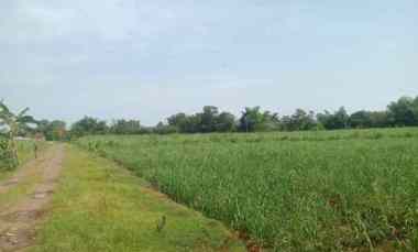 Tanah Dijual di Karangsembung cirebon jabar