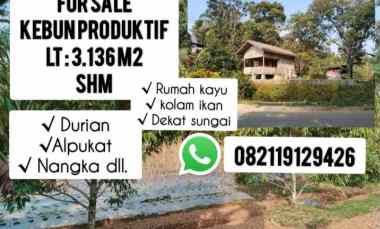 Tanah Dijual di Subang