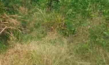 Tanah Kebun Rata dan Strategis