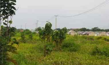 Tanah Kebun Rata dan Strategis Samping Perumahan