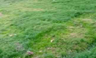 Tanah Kebun Rata dekat Pemukiman