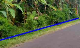 Tanah Kebun Strategis Pinggir jl Desa