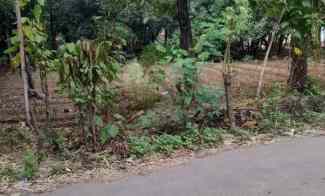 Tanah Dijual di Talun cirebon jabar