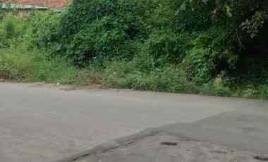 Tanah Kebun Strategis Pinggir Jln Raya