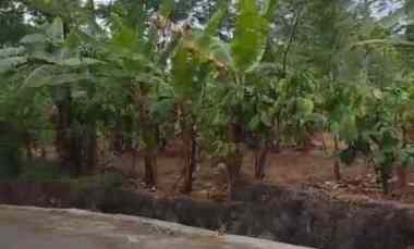 Tanah Dijual di Cilimus kuningan jabar