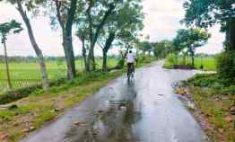 Tanah Strategis untuk Rumah Tinggal/ Buka Usaha Kedawung Sragen