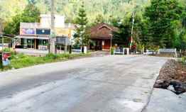 Tanah View Teh Kemuning Ngargoyoso Karanganyar