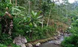 Tanah 3300m dekat Sungai Bersih Kemuning Ngargoyoso Karanganyar