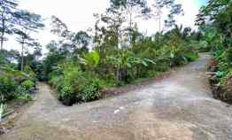 Tanah Kebun Jambu Kemuning Karanganyar