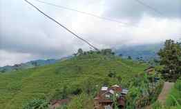 Tanah Idaman Area Kebun Teh Kemuning Karanganyar