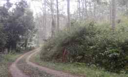 Tanah Subur L 34106m Kerjo Karanganyar