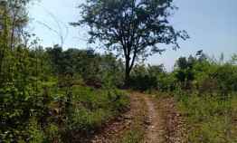 Dijual Tanah 2 Hektar di Kerjo Karanganyar