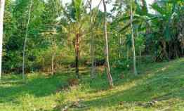 Jual Tanah 900m Kerjo Karanganyar