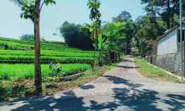 Jual Tanah Cocok untuk Villa jl Kerjo Ngargoyoso Karanganyar