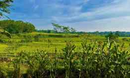 Dijual Tanah Strategis Dibangun Villa Kerjo Karanganyar