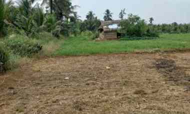 Tanah Dijual di jln besar hamparan perak