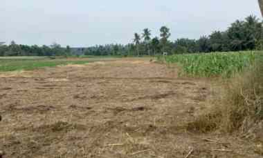 Tanah Dijual di jalan besar hamparan perak