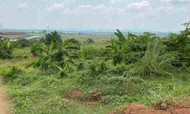 Tanah Kosong Strategis di Desa Mekarjaya Karawang