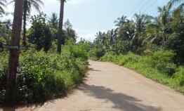 Tanah Dijual di Kp Malang sari, Des Cikiruh wetan, Kab Pandeglang Banten