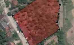 Tanah Dijual di Kp. Tanjung jaya Des. sumurbatu Kec. Cikeusik Kab Pandeglang